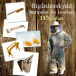 Bigårdenskydd - Startpaket för biodlare